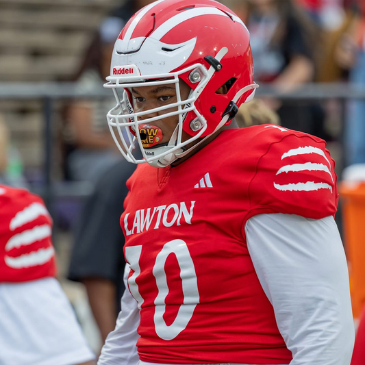 Oversized Football Helmet Silhouette Decals