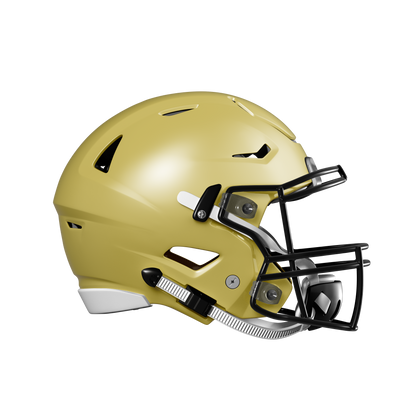Game Day Skinz SpeedFlex Helmet Skin